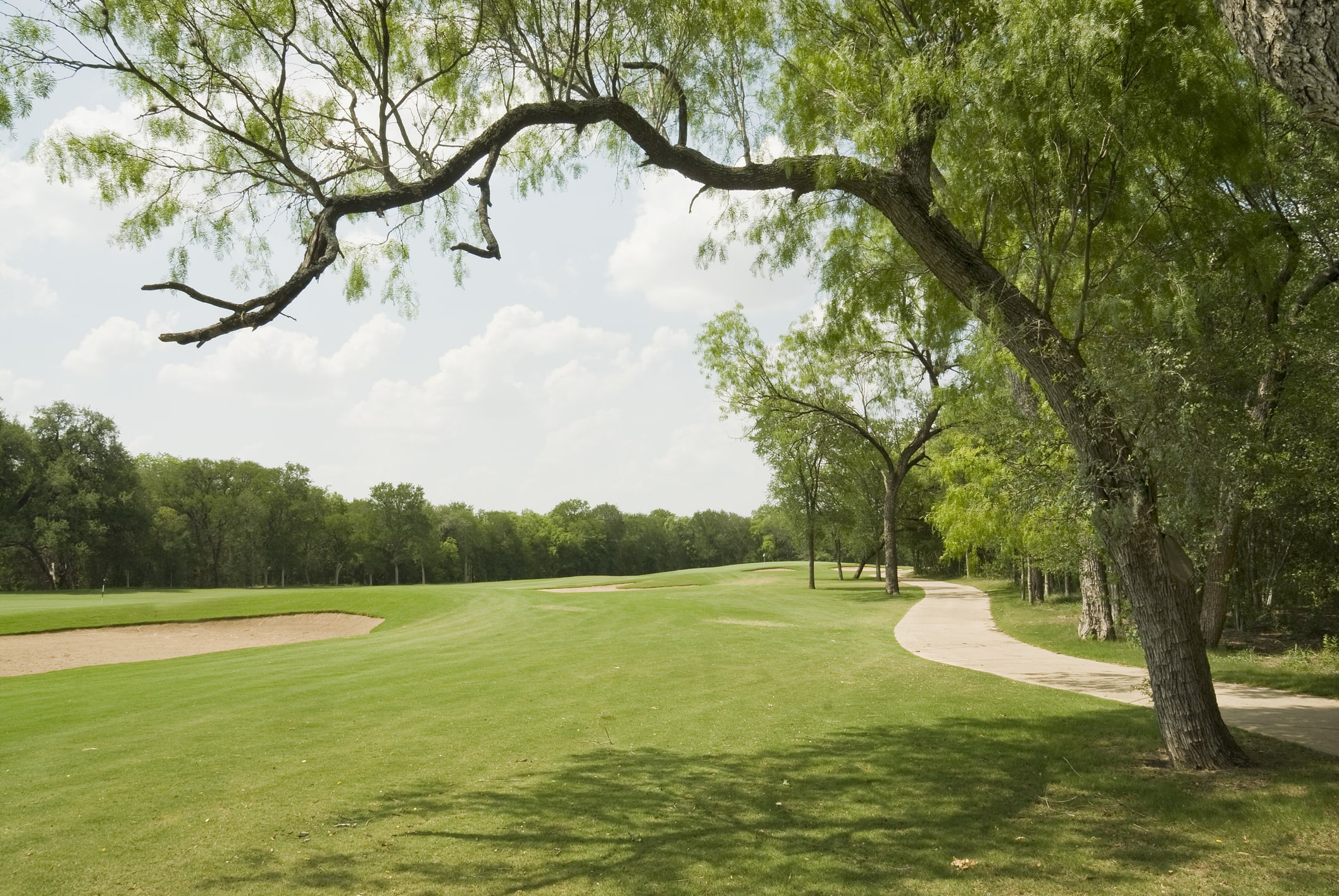 golf course Pearland golf course Pearland